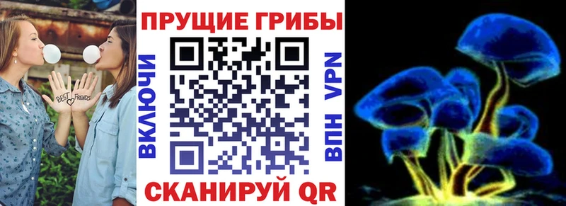 Псилоцибиновые грибы мицелий  Купить закладки  Новосибирск 