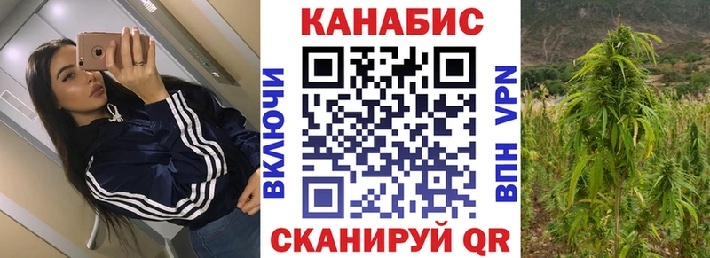 Бошки Шишки семена  Купить где  Новосибирск 